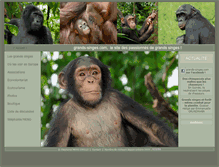 Tablet Screenshot of grands-singes.com